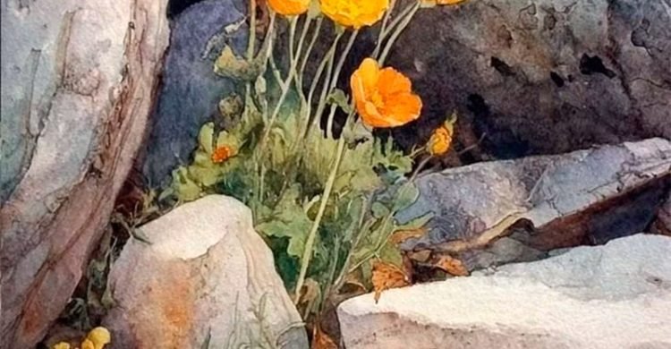 Andre Marcos